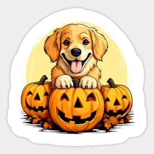 Golden Retriever Dog inside Pumpkin #2 Sticker